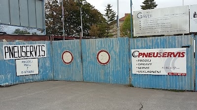 Autoservis , Pneuservis