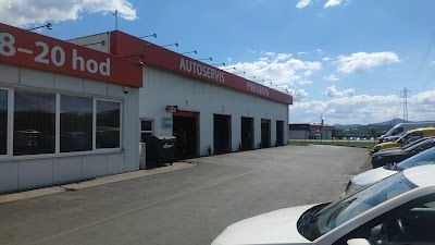 Autoservis Inex motor