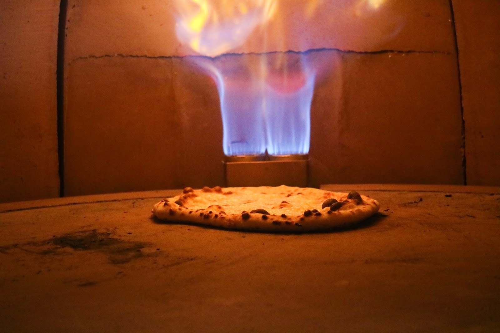 Plebs Crust & Craft Szeged