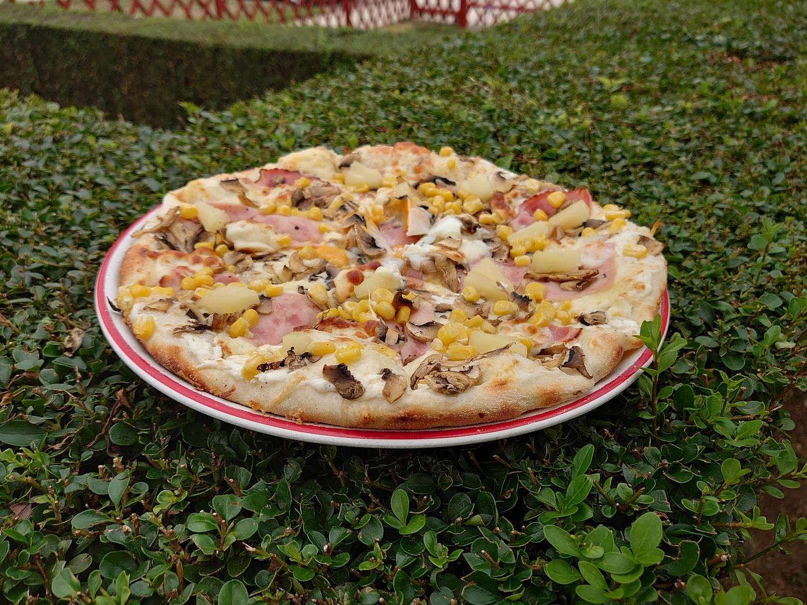 Andiamo to go Pizzéria Bonyhád